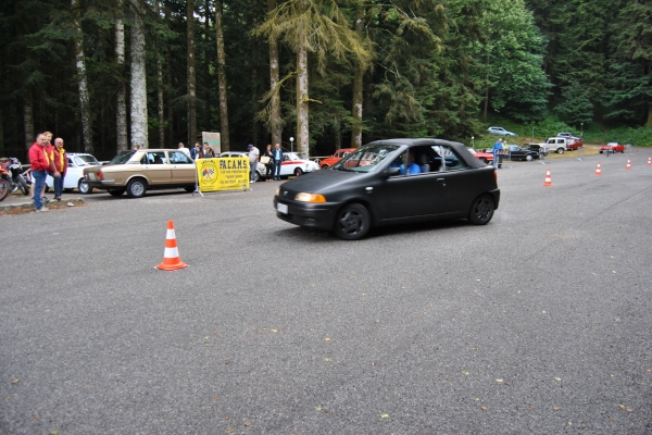 dsc-0102714B484B-7551-D5F0-05F5-59A9C113F292.jpg
