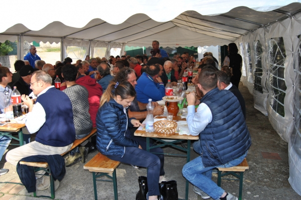 dsc-000524C38542-B961-C57C-9A54-0DE397D77767.jpg