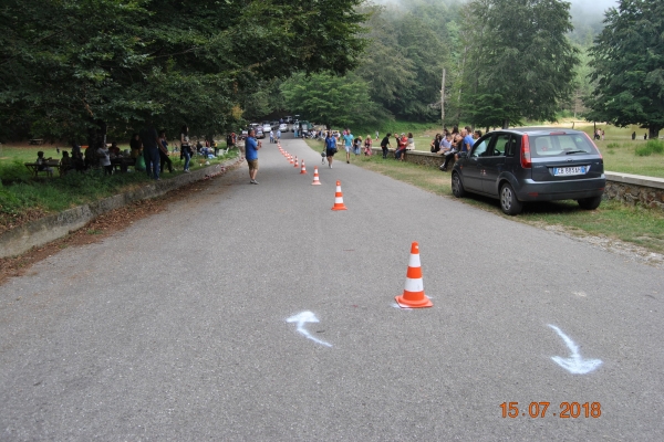 dsc-0208B38B51E3-7986-E477-F1E6-F589F887E1B8.jpg