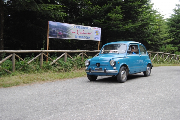 dsc-0013B40DD691-8061-746D-20E8-897EF3F027D0.jpg