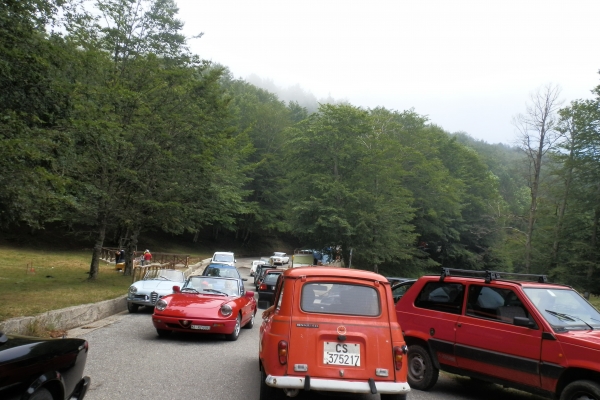 p72033210F569417-5958-CB6D-774E-4939050AF3A6.jpg