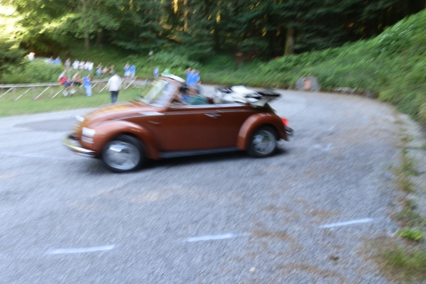 p72033504BDF77CF-843A-3608-048E-79F3AA01518A.jpg