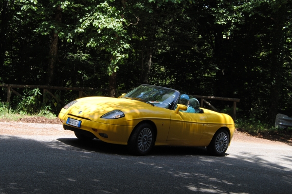 dsc-00172F7FA1C0-1563-DE3D-BFBF-FCEDF1F67CF6.jpg